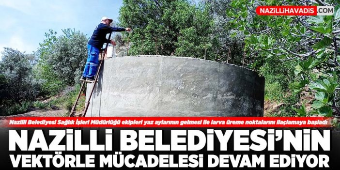 Nazilli Belediyesi'nin vektörle mücadelesi devam ediyor