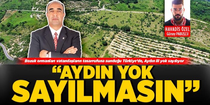 Özel ağaçlandırma yönetmeliğinde ‘Aydın’ yok sayılmasın