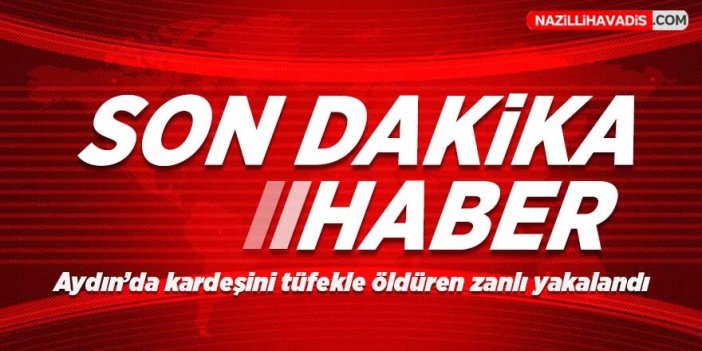 Aydın'da bayram günü kan aktı! Kardeşini tüfekle öldüren zanlı yakalandı