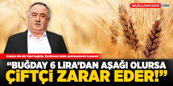 İzgü: “Buğday 6 liradan aşağı olursa çiftçi zarar eder”