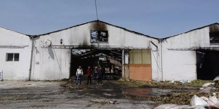 Aydın'da defne fabrikasını yaktığı ileri sürülen şüpheli tutuklandı