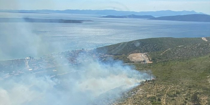 Urla ve Dikili ilçelerinde ormanlık alanlarda yangın çıktı