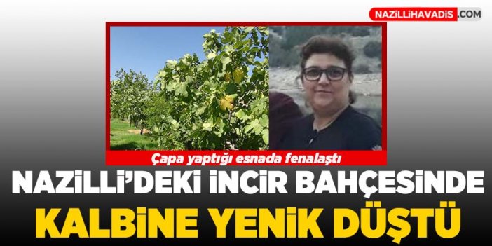 Nazilli'deki incir bahçesinde kalbine yenik düştü