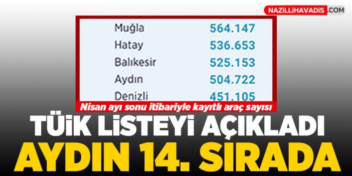 TÜİK listesinde Aydın 14. sırada