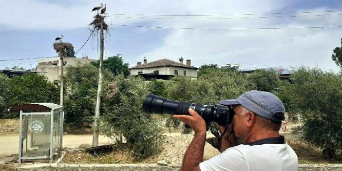 Aydın'da leylek sayısında geçen yıla oranda 39 düşüş yaşandı