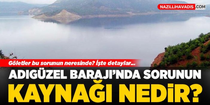 Adıgüzel Barajı niçin dolmuyor? İşte sorunun kaynağı