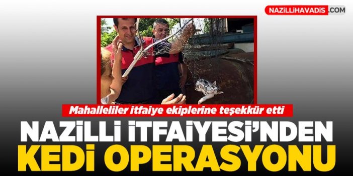 Nazilli İtfaiyesi'nden kedi operasyonu