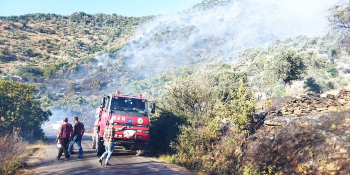 Aydın'da buğday tarlasında başlayıp zeytinliğe sıçrayan yangına müdahale ediliyor