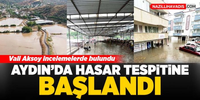 Aydın'da hasar tespitine başlandı