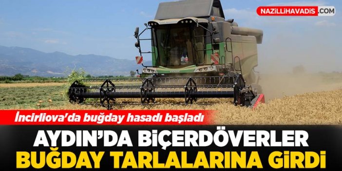 İncirliova'da buğday hasadı başladı