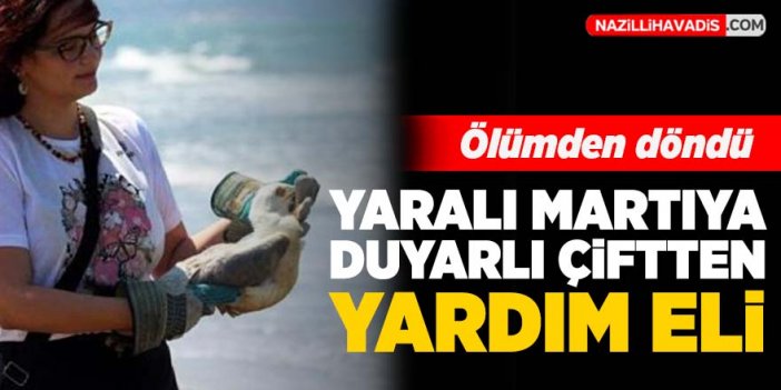 Yaralı martıya genç çiftten yardım eli