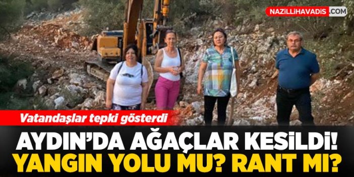 Aydın'da 'yangın söndürme yolu' için ağaç kesimine vatandaşlardan tepki!