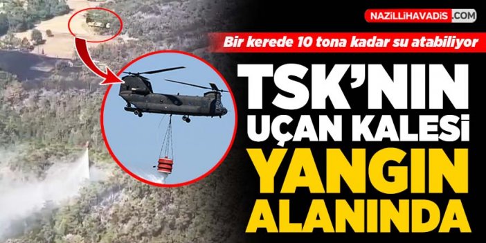 TSK'nın uçan kalesi Marmaris yangınında görev yapıyor