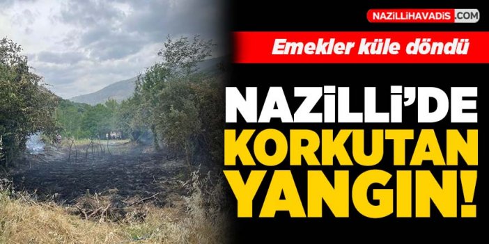 Nazilli’de bir korkutan yangın daha