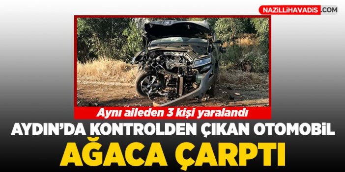 Kontrolden çıkan otomobil ağaca çarptı: 3 kişi yaralandı