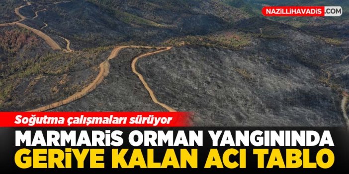 Marmaris orman yangınında soğutma çalışmaları sürüyor