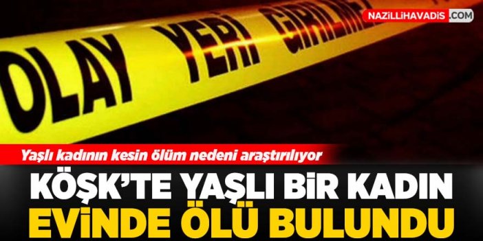 Aydın'da kimsesiz yaşlı kadın evinde ölü bulundu