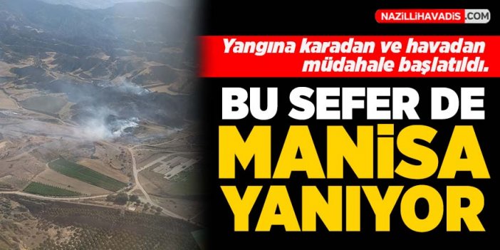 Manisa'da ormanlık alanda yangın başladı