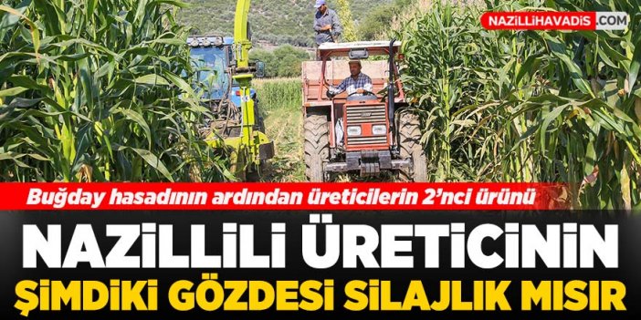 Nazilli’de üretici silajlık mısır ekimine başladı