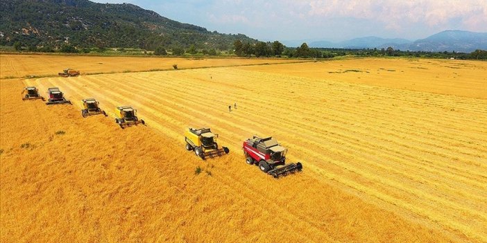 TMO hububat alım fiyatlarını güncelledi