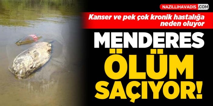 Menderes Nehri ölüm saçıyor!