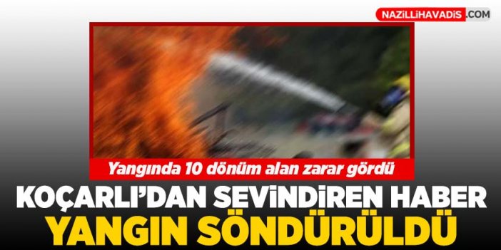 Koçarlı'da çıkan yangın söndürüldü