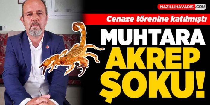 Muhtarı cenaze töreninde akrep soktu