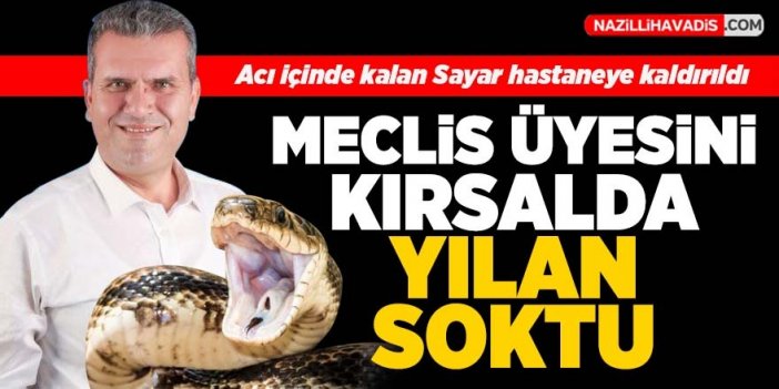 Nazilli Belediye Meclis Üyesi Sayar’ı yılan soktu