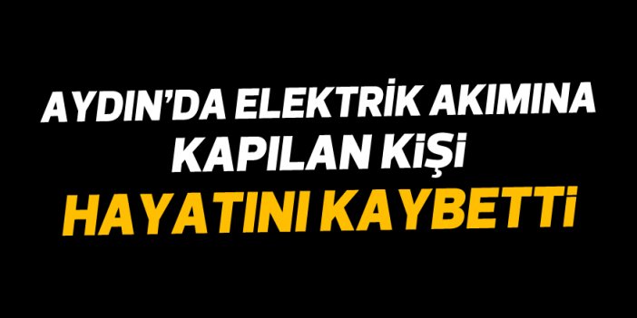 Aydın'da elektrik akımına kapılan kişi hayatını kaybetti