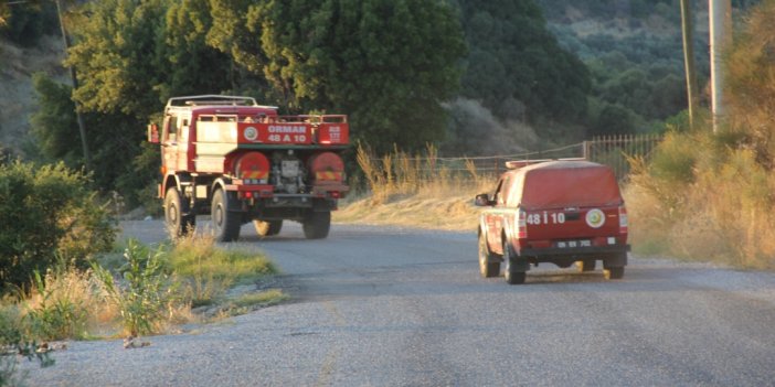 Söke'de ağaçlık alanda yangın!