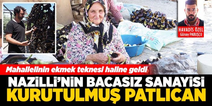 Nazilli'deki o mahallenin geçim kaynağı patlıcan