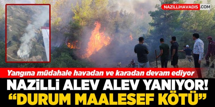 Nazilli'de orman yangını devam ediyor