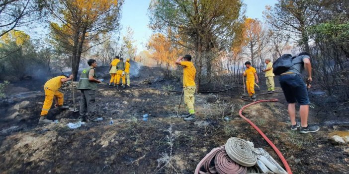 Nazilli’de orman yangının bilançosu: 30 hektar alan zarar gördü