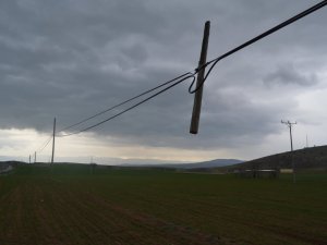 Yer Çekimine Meydan Okuyan Telefon Direği