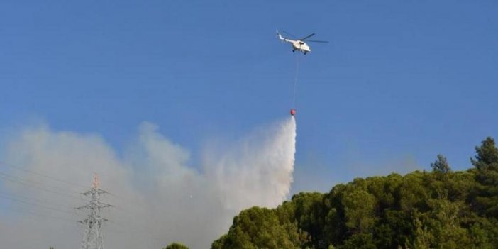 Aydın'da ormanlık alanda yine bir yangın!