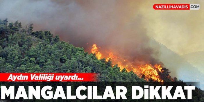 Aydın Valiliği uyardı: Mangalcılar dikkat!