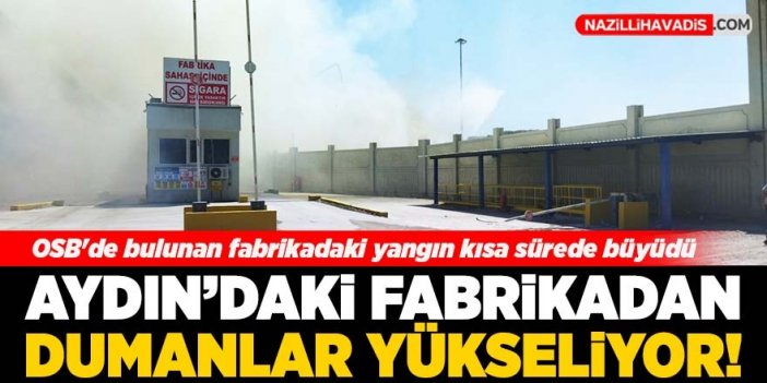 Aydın'daki kağıt fabrikasında yangın çıktı