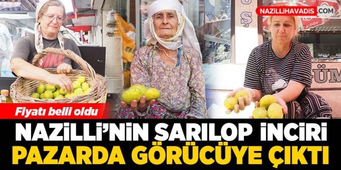 Nazilli’de sarılop incir tezgahlardaki yerini aldı