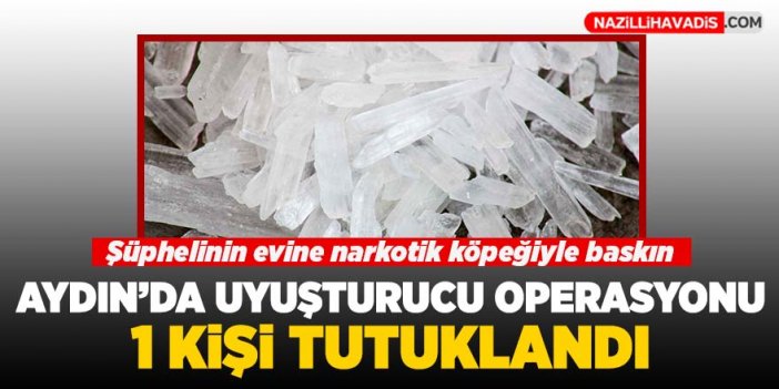 Aydın'da uyuşturucu operasyonu: 1 kişi tutuklandı