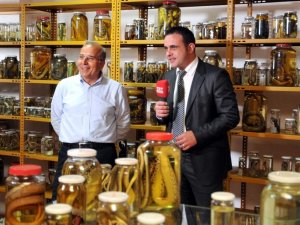 ADÜ Zooloji Müzesi Ekranlardan Tanıtıldı