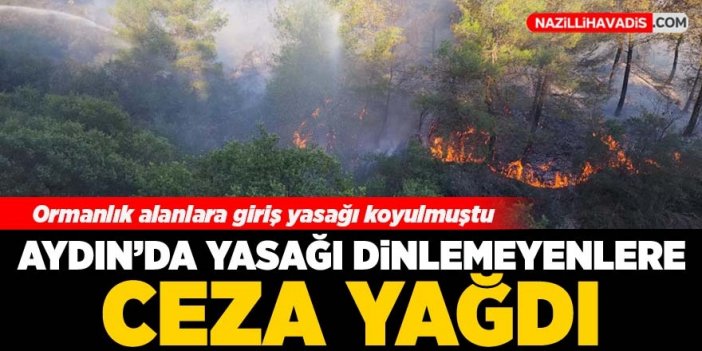 Aydın'da yasakları dinlemeyen 163 kişiye para cezası