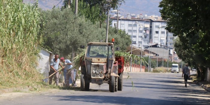 Çapahasan Mahallesi'nde sokaklar pırıl pırıl