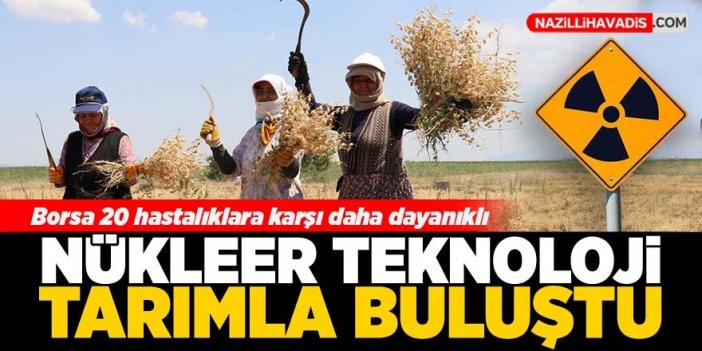 Nükleer teknoloji tarımla buluştu