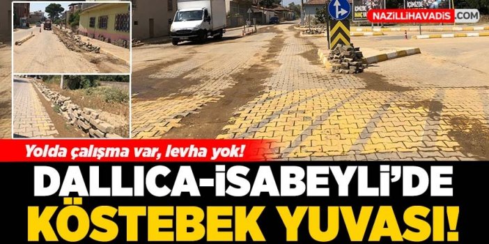 Dallıca-İsabeyli yolu alarm veriyor