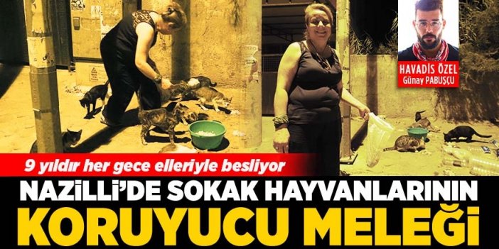 Sokak hayvanlarının annesi hayvanseverlerden destek bekliyor