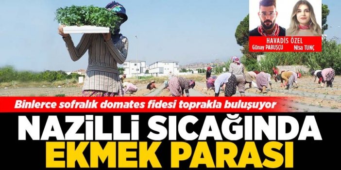 Nazilli sıcağında ekmek parası