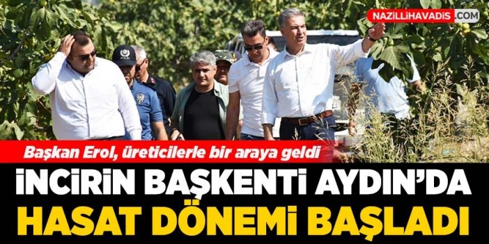 Başkan Erol, incir üreticileri ile bir araya geldi