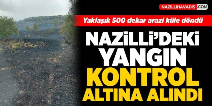 Nazilli'de ziraat alanında çıkan yangın kontrol altına alındı