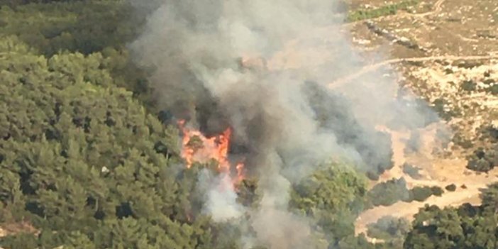 İzmir'de ormanlık alanda çıkan yangın kontrol altına alındı