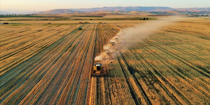 Tarımda yeni destekleme modeli gelecek 'kent tarımı' hayata geçirilecek